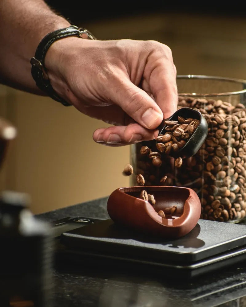 Colher de grãos de café sendo despejada na balança